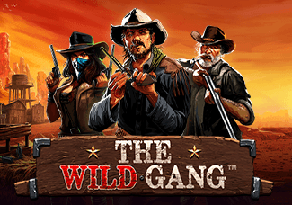 The Wild Gang game cover
